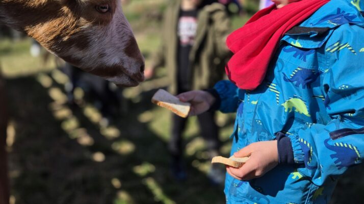 Wycieczka do Zagrody Edukacyjnej w Cieniu Orzecha