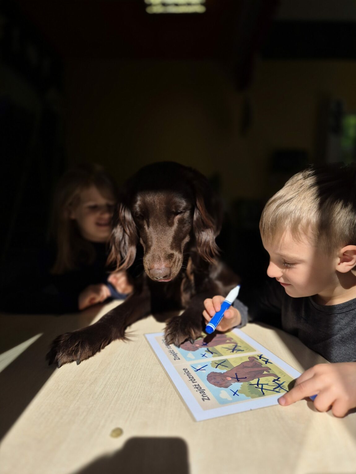 Dogoterapia