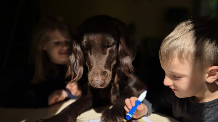 Dogoterapia