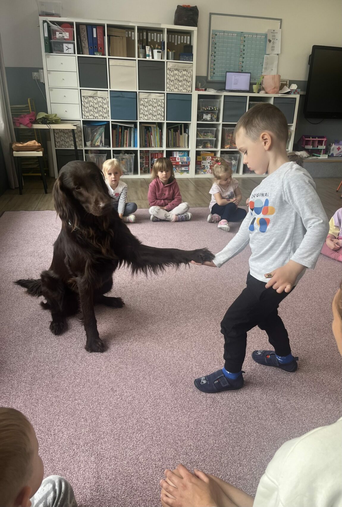 Dogoterapia