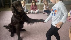 Dogoterapia