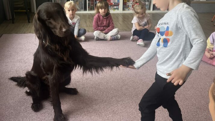 Dogoterapia
