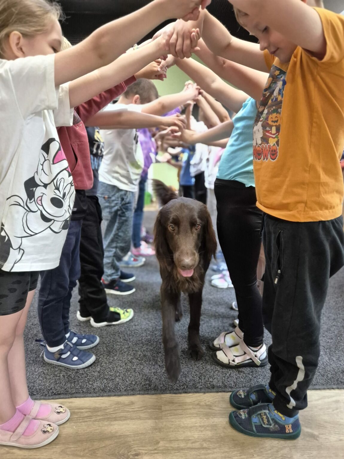 Dogoterapia