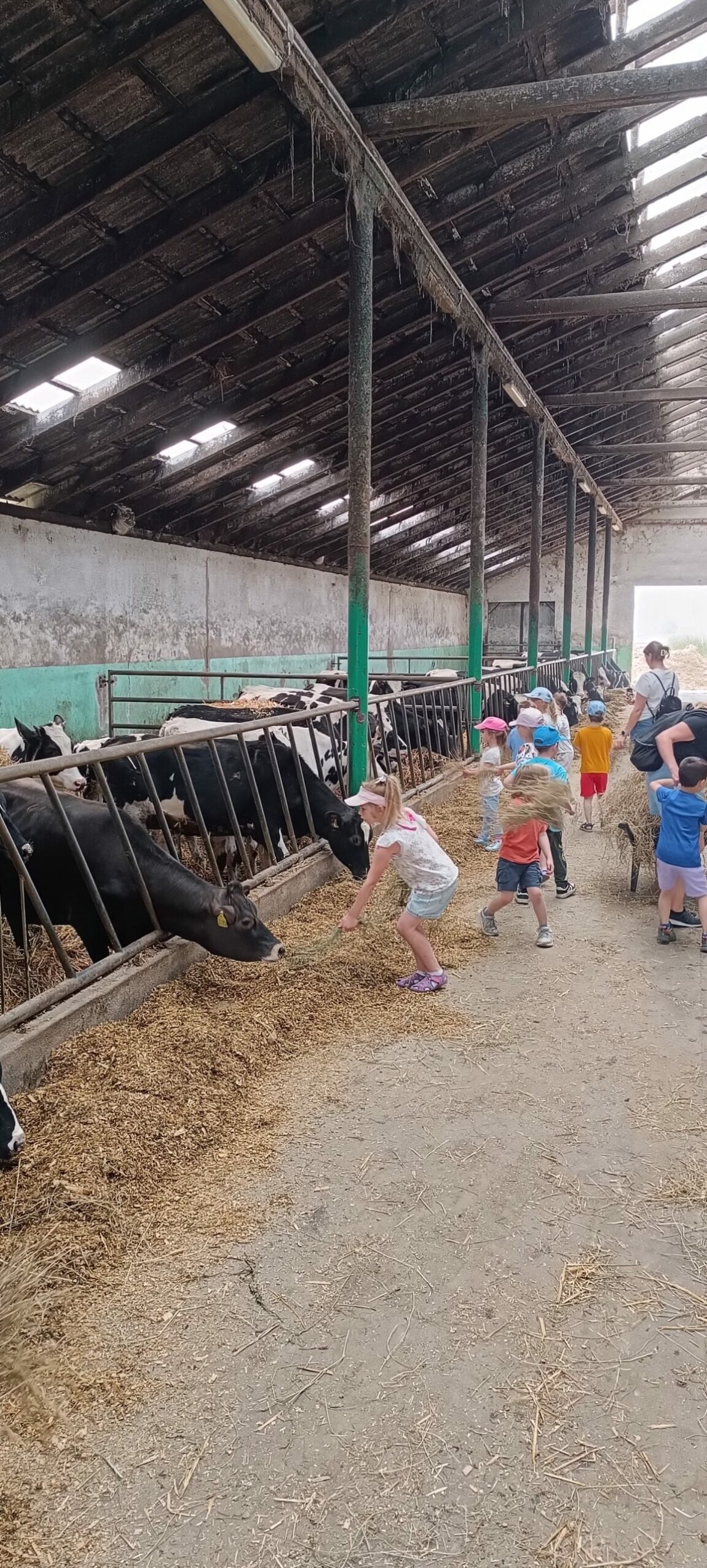 Wycieczka na farmę Rodziców Marcelinki cz.1