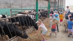 Wycieczka na farmę Rodziców Marcelinki cz.1