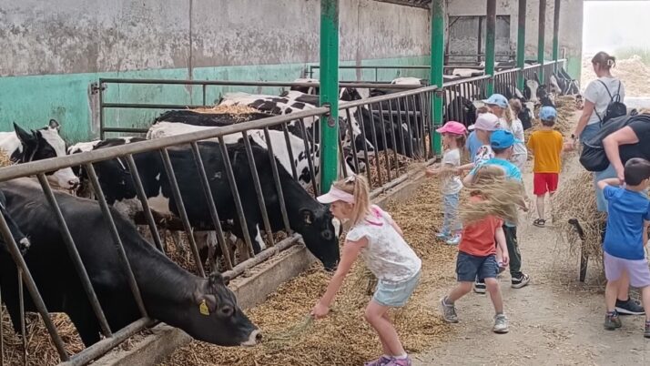 Wycieczka na farmę Rodziców Marcelinki cz.1