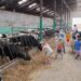 Wycieczka na farmę Rodziców Marcelinki cz.1