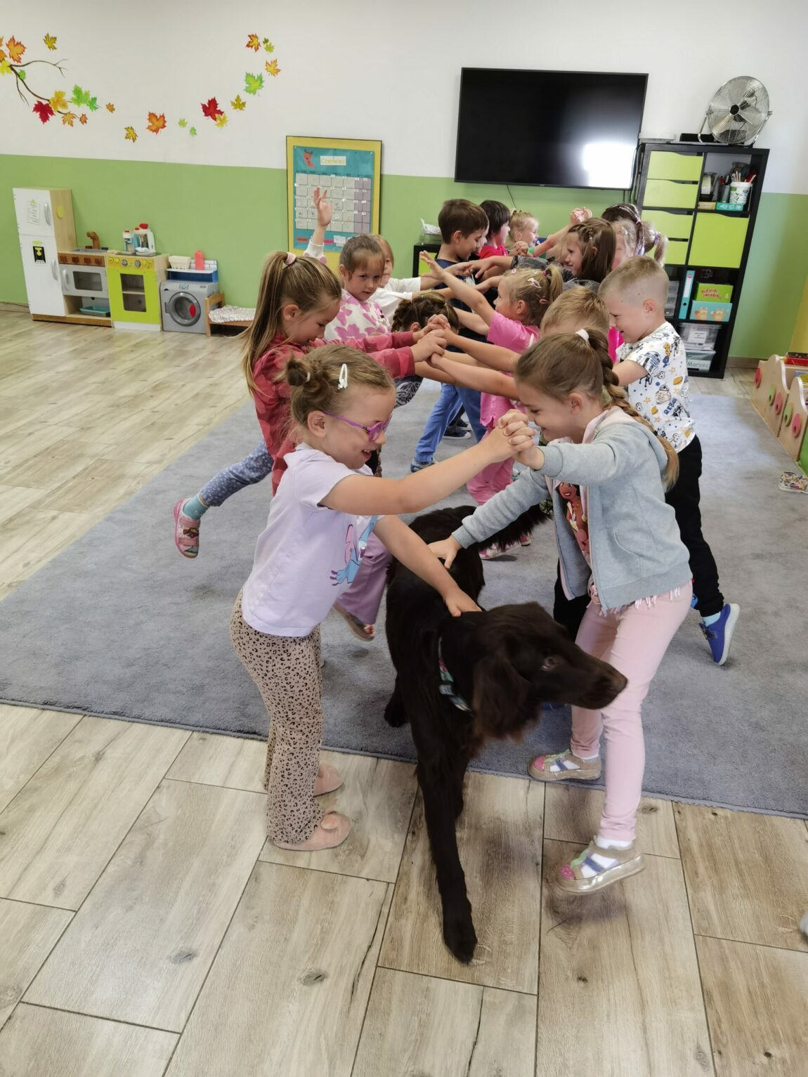 Dogoterapia