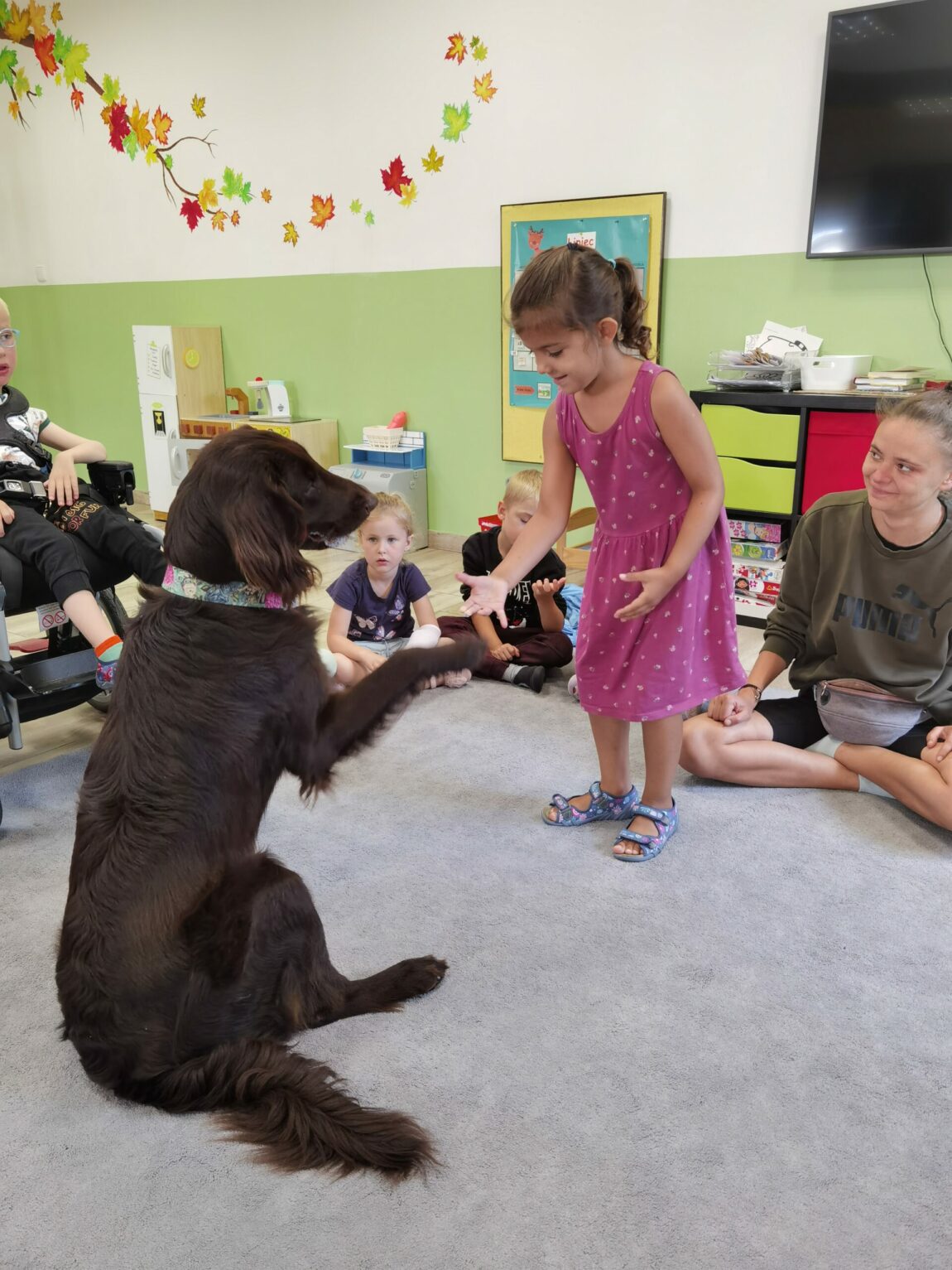 Dogoterapia