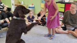 Dogoterapia