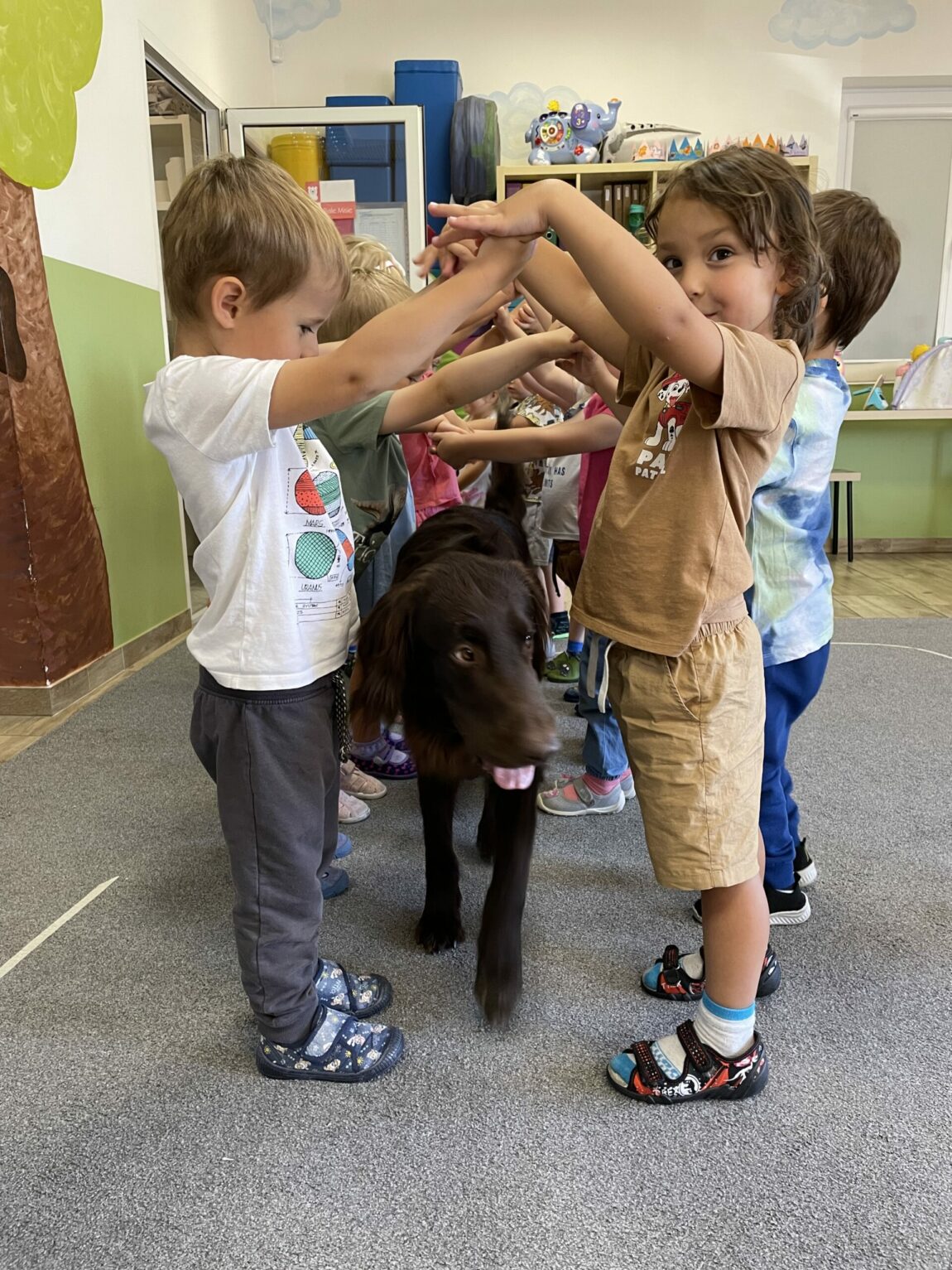 Dogoterapia – czerwiec