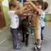 Dogoterapia – czerwiec