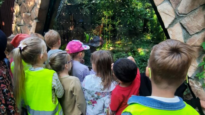 Wycieczka do Zoo