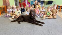 Dogoterapia u „Białych Misiów”