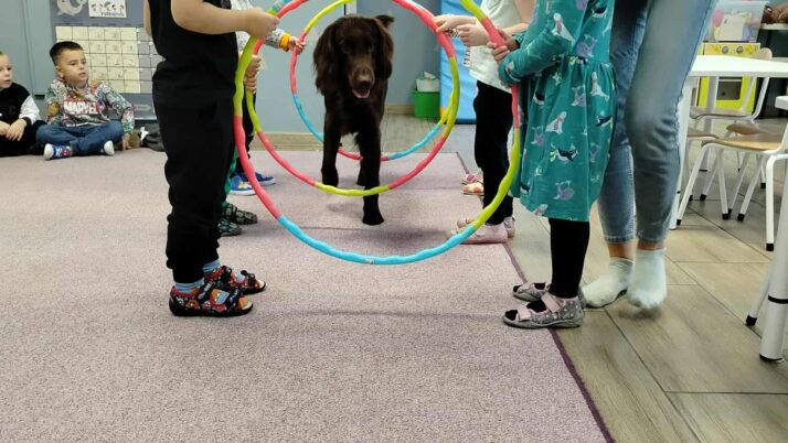 Dogoterapia