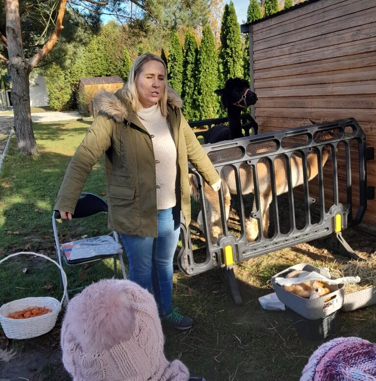 Alpaki w przedszkolu