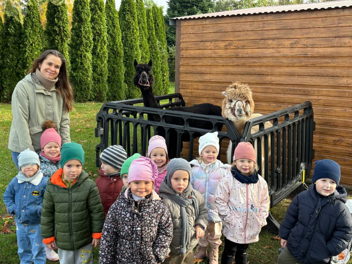Alpakoterapia w ogrodzie przedszkolnym