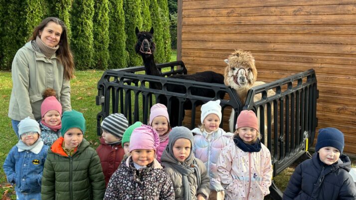 Alpakoterapia w ogrodzie przedszkolnym
