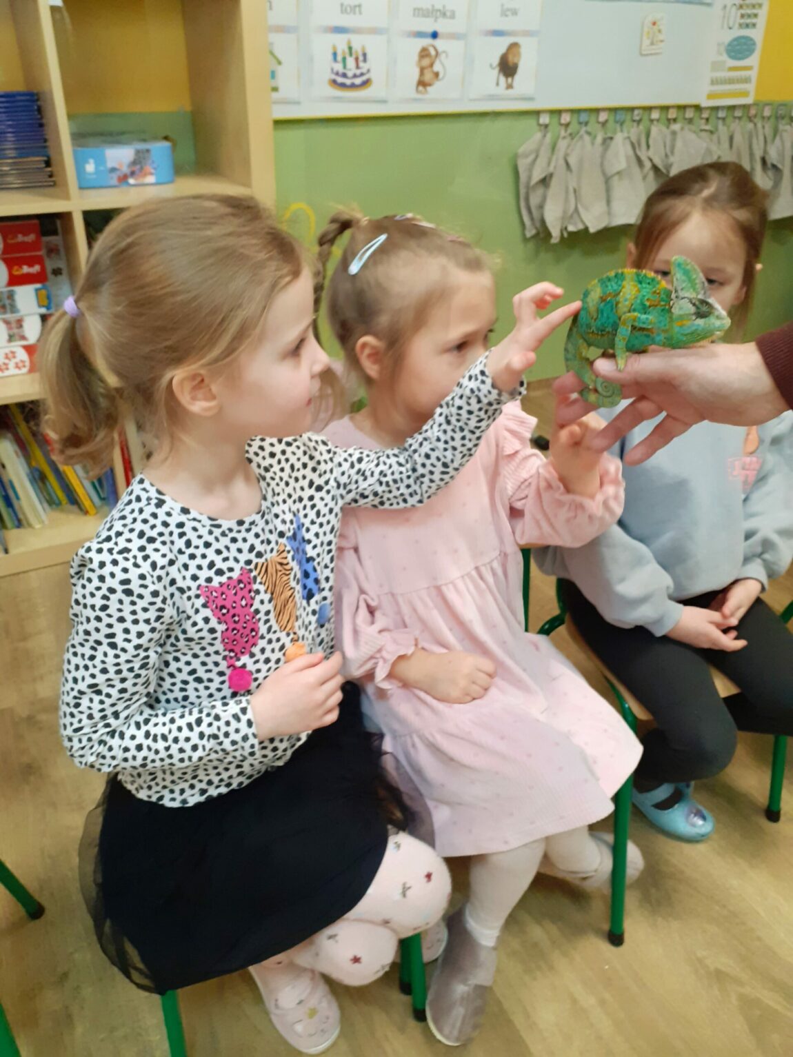 Wystawa zwierząt egzotycznych