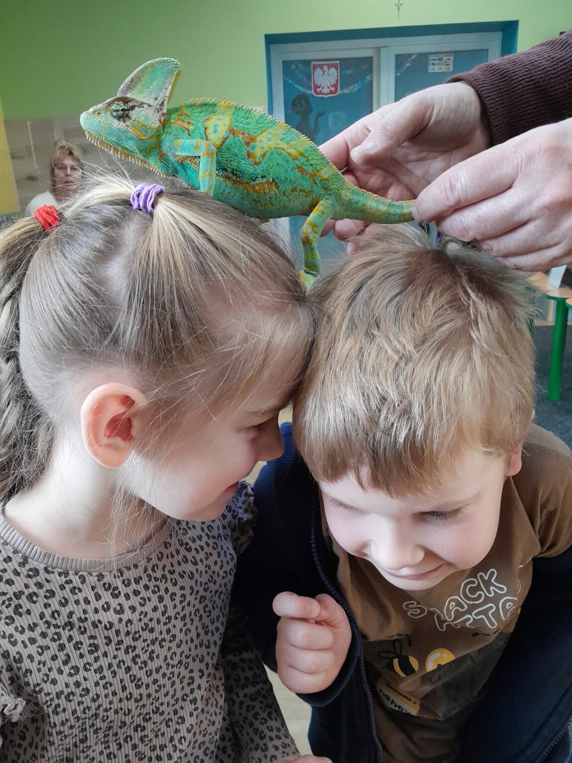 Niezwykłe zwierzęta w przedszkolu