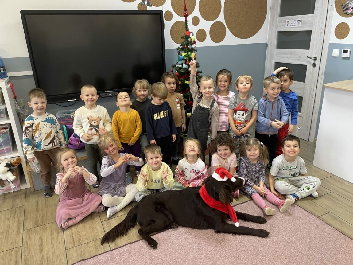 Dogoterapia – grudzień