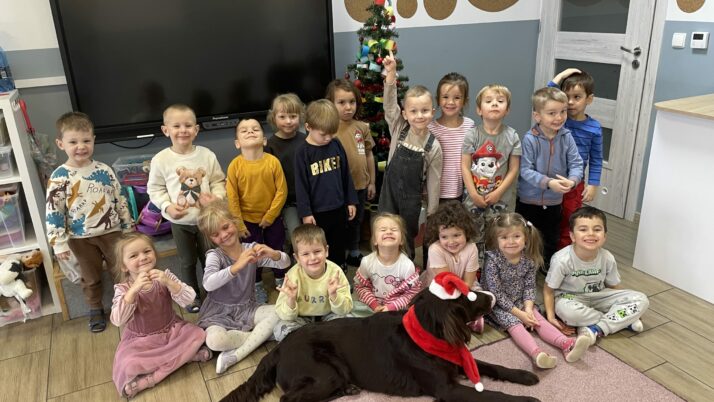 Dogoterapia – grudzień