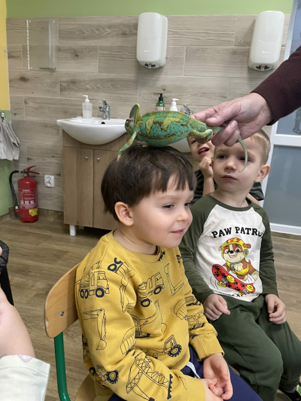 wystawa zwierząt egzotycznych