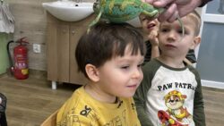 wystawa zwierząt egzotycznych