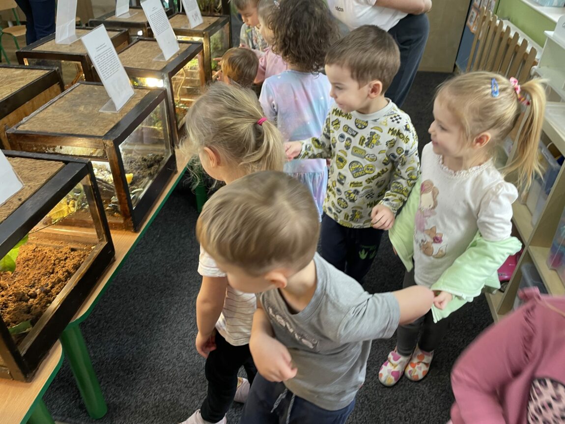 Wystawa zwierząt egzotycznych – żywa lekcja przyrody