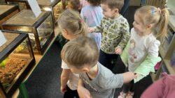 Wystawa zwierząt egzotycznych – żywa lekcja przyrody
