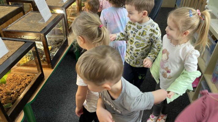 Wystawa zwierząt egzotycznych – żywa lekcja przyrody