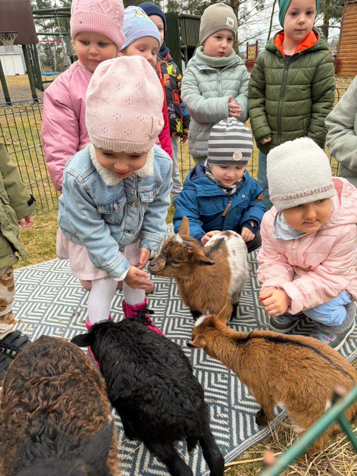 Wizyta zwierząt z Zagrody w cieniu orzecha