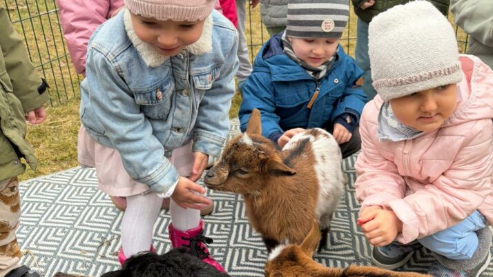 Wizyta zwierząt z Zagrody w cieniu orzecha